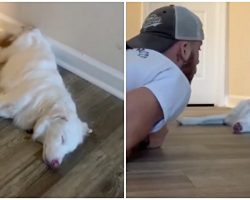 Guy Gently Wakes Up His Deaf & Blind Dog In The Sweetest Manner
