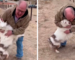 Grandpa’s Concerns That the Dog Wouldn’t Recognize Him After a Year Apart, But The Excited Dog Rushes Towards Him