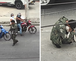 After Being Ignored, A Struggling Street Performer Is Given A Warm Embrace By The Dog