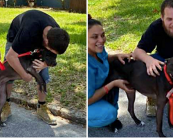 Man Sobs As He Reunites With The Dog He Had To Give Up When He Becomes Homeless