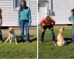 Parents’ Loyalty Measure Has Dog Making A Clear Choice Between Mom And Dad