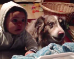 Mom Wants Her Baby To Say ‘Mama,’ But It’s The Dog Who Steals The Show