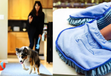 37 Pet Products That Foster Pet Parents Need And Will Love