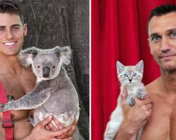 Australian firefighters pose with animals in calendar to raise money for charities