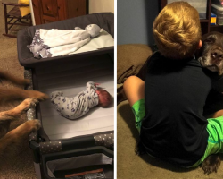 18 Times Dogs Proved To Be The Best Pals A Kid Could Ask For