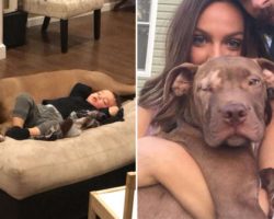 Boy With Flu Only Allows His Loved Dog To Comfort Him