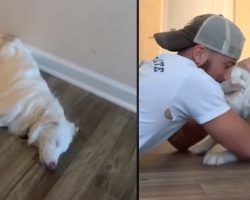 Man Wakes His Deaf & Blind Dog In The Mornings With A Warm, Gentle Embrace￼