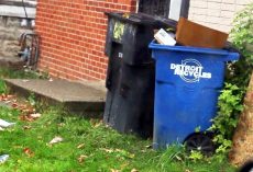 Man Was Called To Rescue A Puppy Only, And Then He Looked Behind The Trash Cans