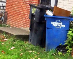 Man Was Called To Rescue A Puppy Only, And Then He Looked Behind The Trash Cans
