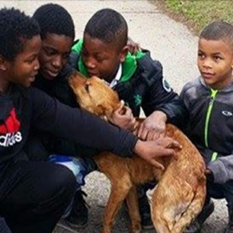 4 young boys rescue starving, abandoned dog tied to house with bungee cords