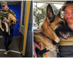 Veteran’s loyal service dog gets a special send-off on her final flight home
