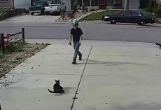 Boy approaches disabled cat – doesn’t realize the camera is recording his actions