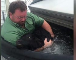 Farmer finds newborn calf freezing in the snow — and saves his life with a hot tub