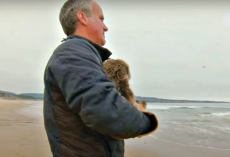 Man Held Baby Critter, Paraded Her Up And Down Beach So Her Cries Were Heard