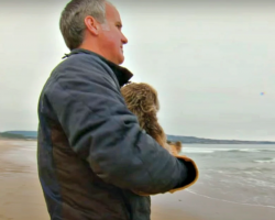 Man Held Baby Critter, Paraded Her Up And Down Beach So Her Cries Were Heard