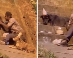 Homeless man seen throwing sweet birthday party for his beloved dog
