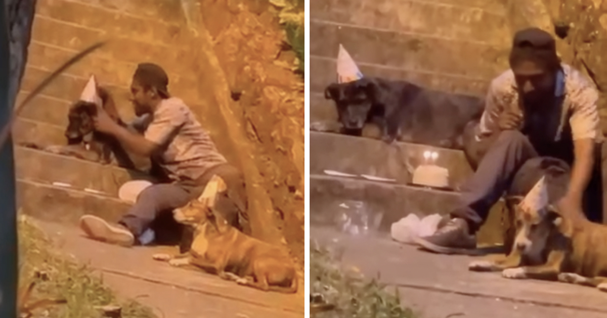 Homeless man seen throwing sweet birthday party for his beloved dog