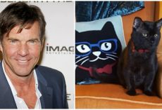 Shelter cat named ‘Dennis Quaid’ gets adopted by the real Dennis Quaid