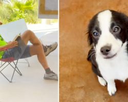 Man camps outside animal shelter for five hours so he can adopt his favorite puppy