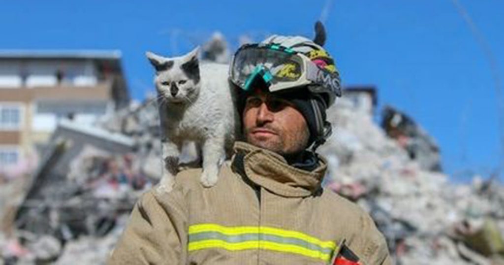 Firefighter rescues cat from earthquake rubble in Turkey, now he won’t