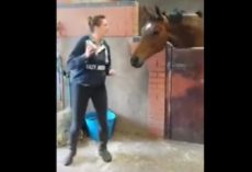 Horse And His Owner Have A Blast Grooving To “All About The Bass”