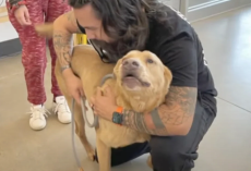 After 4 Long Years, Veteran Reunites With The Dog He Thought He’d Never See Again