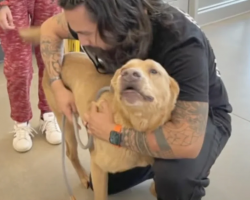 After 4 Long Years, Veteran Reunites With The Dog He Thought He’d Never See Again