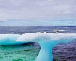 Fisherman see something odd stuck on an iceberg – soon realize the unimaginable truth