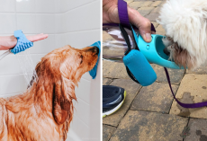 16 Useful TikTok Products Dog Parents Are Raving About