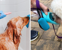 16 Useful TikTok Products Dog Parents Are Raving About