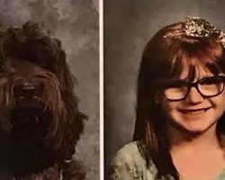 Service dog to 5-year-old with epilepsy is honored in school yearbook