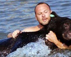 Brave man throws himself into the water to save a drowning bear