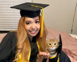 Cat ‘graduates’ college as honorary member of the class of 2022 after attending every Zoom lecture with owner