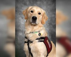 Beloved campus support K9 gets his own photo in the school yearbook