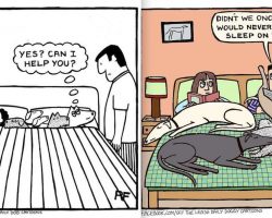 Cartoons Hilariously Sum Up What It’s Like When Dogs Sleep On The Bed