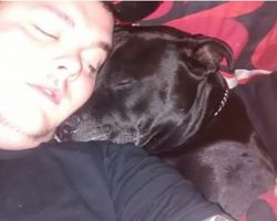 Man Decides To Take His Own Life – Then Realizes What’s In His Dog’s Mouth