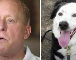 Man’s told he has 5 years to live, so he goes to a shelter and asks for an ‘obese, middle-aged dog’