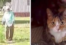 Pitbulls attacks 97-year-old woman – then an unlikely hero jumps in to rescue her