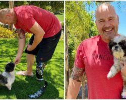 Double-amputee rescue dog gets adopted by police detective who lost his own leg