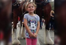 Dad takes daughter’s photo in front of giant horse, looks closer and can’t stop laughing