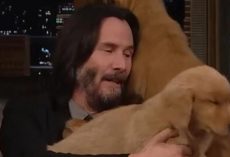 As the assassin in John Wick or in real life, Keanu Reeves just can’t get enough puppy love from the adorable bundles of fur