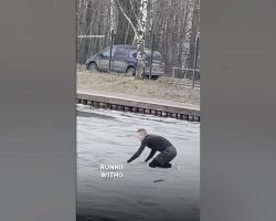 Man Risks His Own Life To Save A Drowning Dog