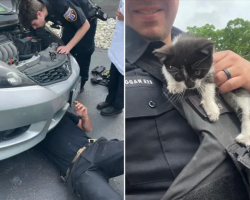 Police officer adopts kitten after rescuing him from car engine