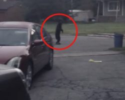 Bear Standing Upright Caught On Video Walking Through New Jersey Neighborhood