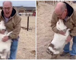 Dad worries deaf, blind dog won’t recognize him after a year apart, but she runs right to him