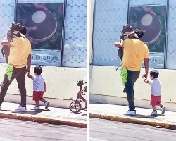 Father praised for choosing to carry his large dog instead his small son