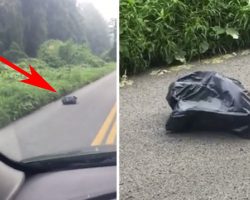 Woman swerves to miss trash bag in road, looks closer and gets the shivers