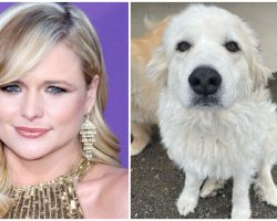 Miranda Lambert mourns death of beloved dog Thelma: “It hurts so bad to say goodbye”