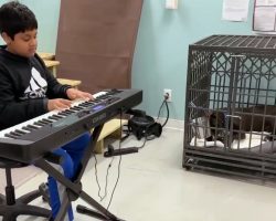 Fifth grader helps soothe shelter dogs by playing relaxing piano for them