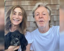 Paul McCartney and wife Nancy Shevell adopt adorable shelter dog